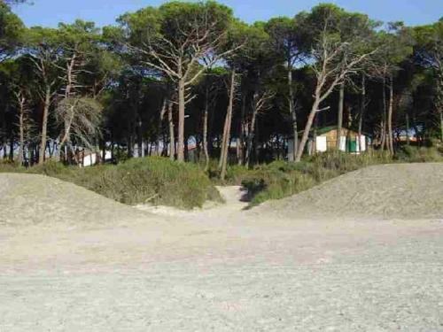 Apartamento Bilocale 2+3