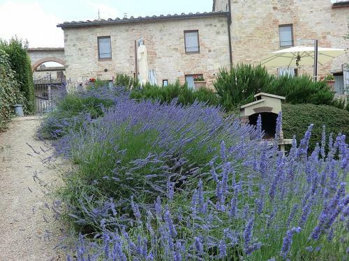 Colle Di Val D'elsa Villa Sleeps 2 Pool Wifi