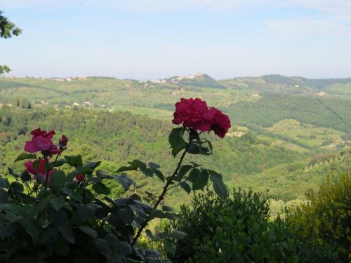 Apartamento Podere Campolungo