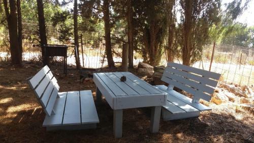 Back To Nature Via The Bible