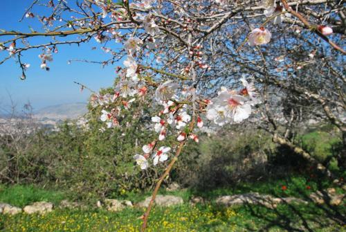 Back To Nature Via The Bible