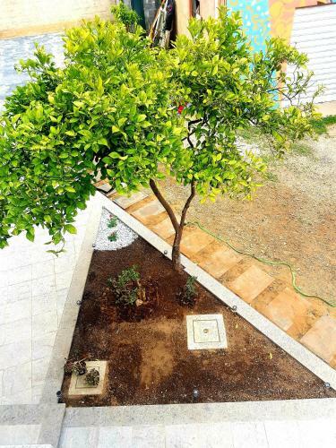 Apartamento Casa Delle Rose In Centro