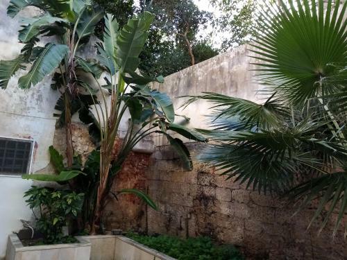 Bed & Breakfast Dimora Storica Le Perle