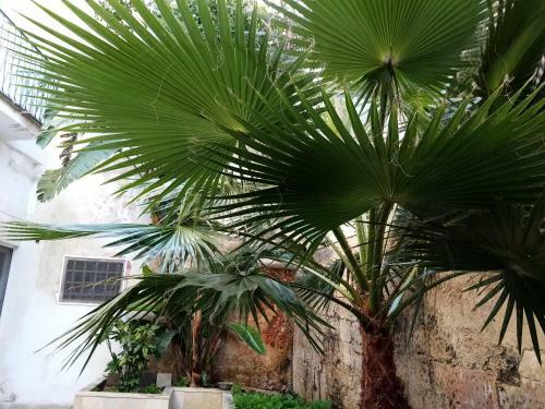 Bed & Breakfast Dimora Storica Le Perle