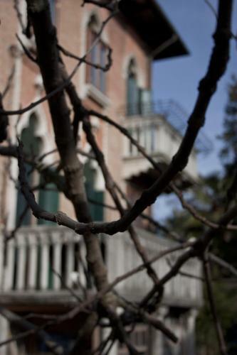 Bed & Breakfast Villa Elisabetta