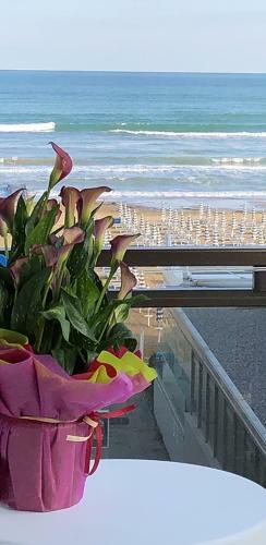 Hotel Ondina