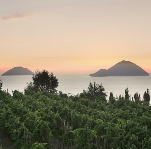 Hotel Castellaro Wine Resort