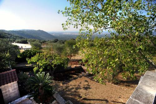 Villa Tenuta Arconzo Sea View