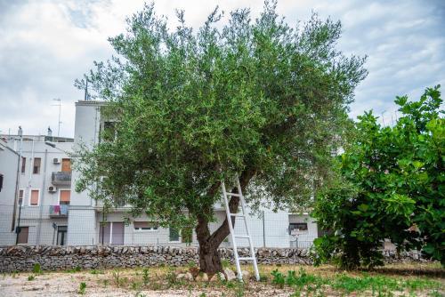 Apartamento Dimora Palmisano Villa & Trulli