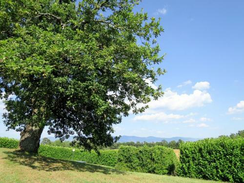 Locazione Turistica Boriano - Orv119