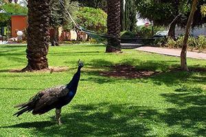 Hotel Ashdot Yaacov Ichud Kibbutz Country Lodging
