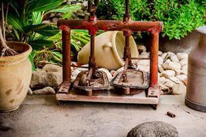Hotel Ashdot Yaacov Ichud Kibbutz Country Lodging