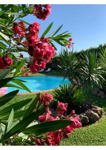 Bed & Breakfast Villa La Preziosa