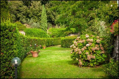 Agroturismo Orto Degli Olivi
