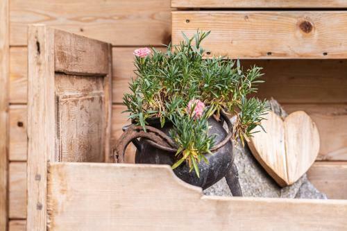 Apartamento Alpenblick - App Klausberg
