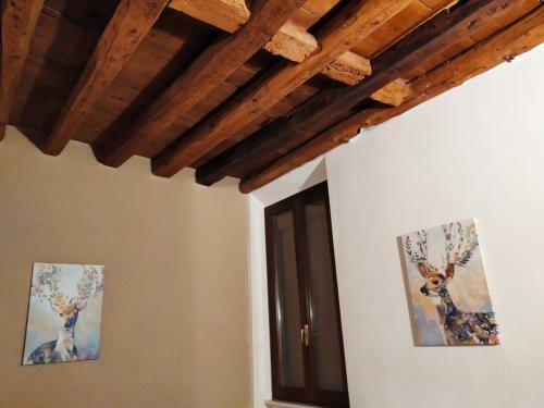 Hostal Carducci 49