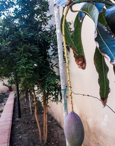 Hostal Guest House Loriano