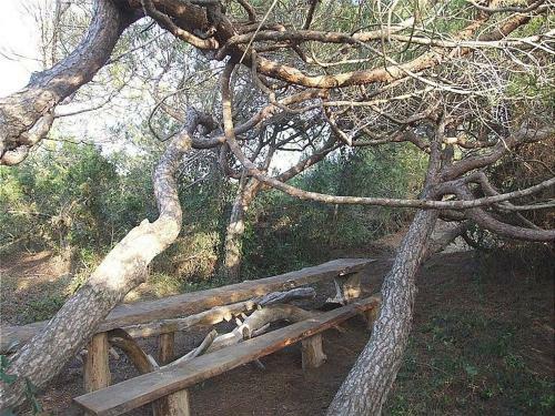 Apartamento Le Finestre