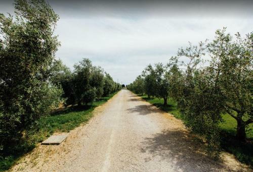 Agroturismo Corte Degli Angeli