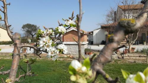 Agroturismo Corte Degli Angeli
