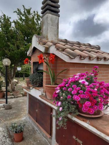 Agroturismo Corte Degli Angeli