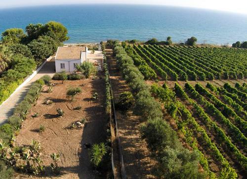 Villa Jabia Beach House