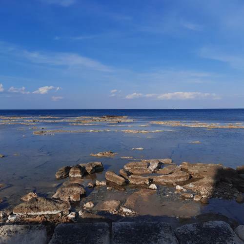 Aloha Marzamemi Apartment Sea Front