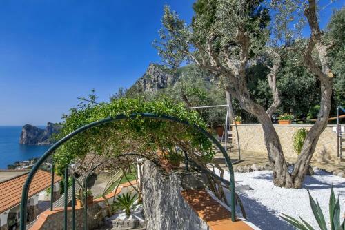 Amore Rentals - Villa Marina