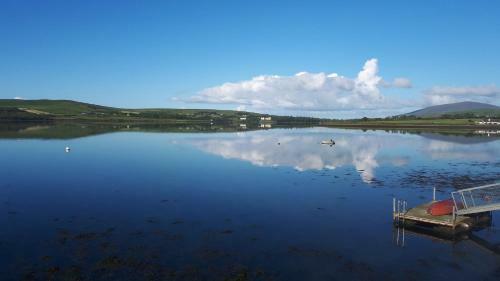 Dingle Harbour Nights B&B
