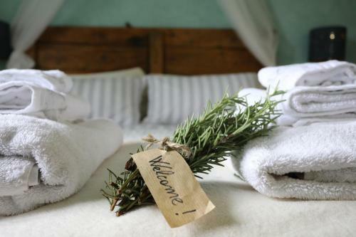 Bed & Breakfast Tra I Campi Di Papaveri