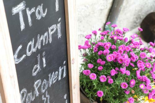 Bed & Breakfast Tra I Campi Di Papaveri