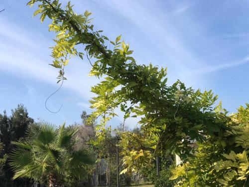 Apartamento Villa Assunta Salento