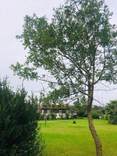 Apartamento Villa Assunta Salento