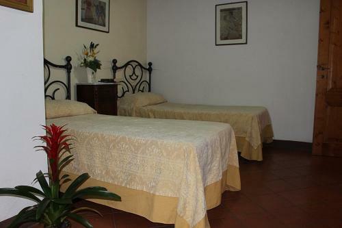 Colle Di Val D'elsa Villa Sleeps 8 Pool