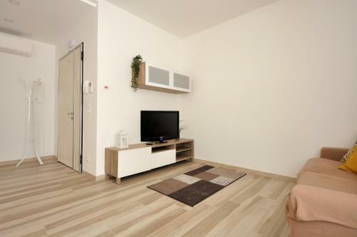 Ground Floor Apartment