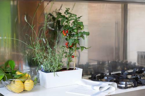Hostal Zebra Naviglio
