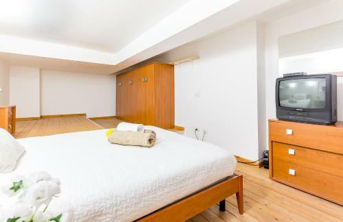 Apartamento Alessia's Flat- Portello 3