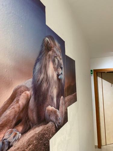Lion Hostel