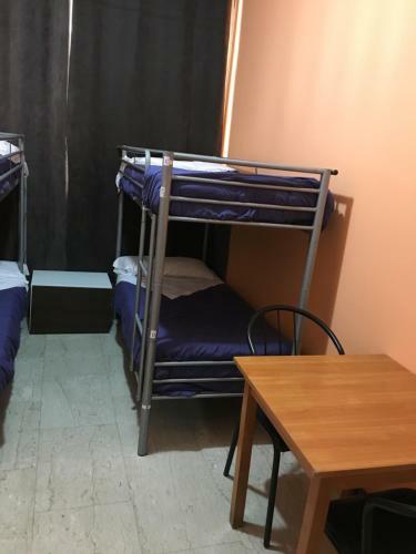 Lion Hostel