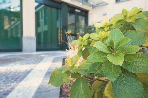Apartamento Charming Flat & Canal View Few Steps From Movida