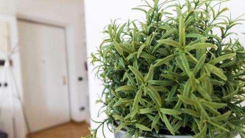 Apartamento Italianway-edolo 5