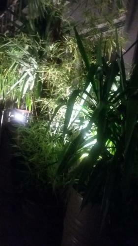 Hostal Citygardenmilano