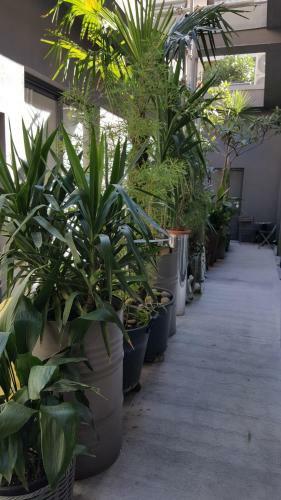 Hostal Citygardenmilano