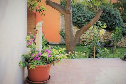 Bed & Breakfast Il Giardino Degli Aranci