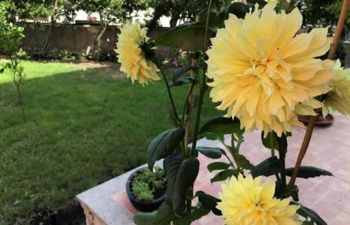 Bed & Breakfast Il Giardino Degli Aranci