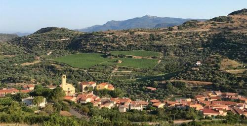 Bed & Breakfast Il Giardino Degli Aranci