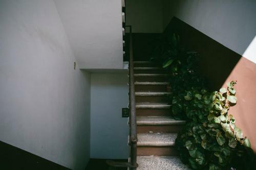 Stay Apartments