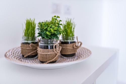 Apartamento Wepuglia - La Casa Del Cardinale