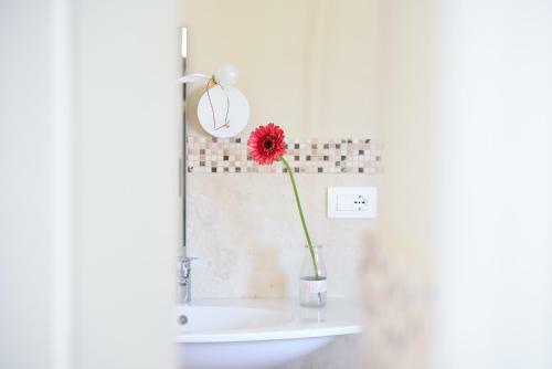 Apartamento Anpat� House Resort