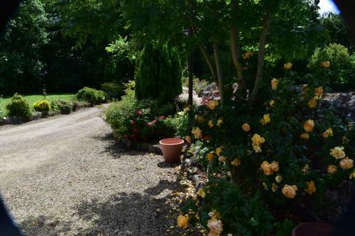 The Rectory B&B